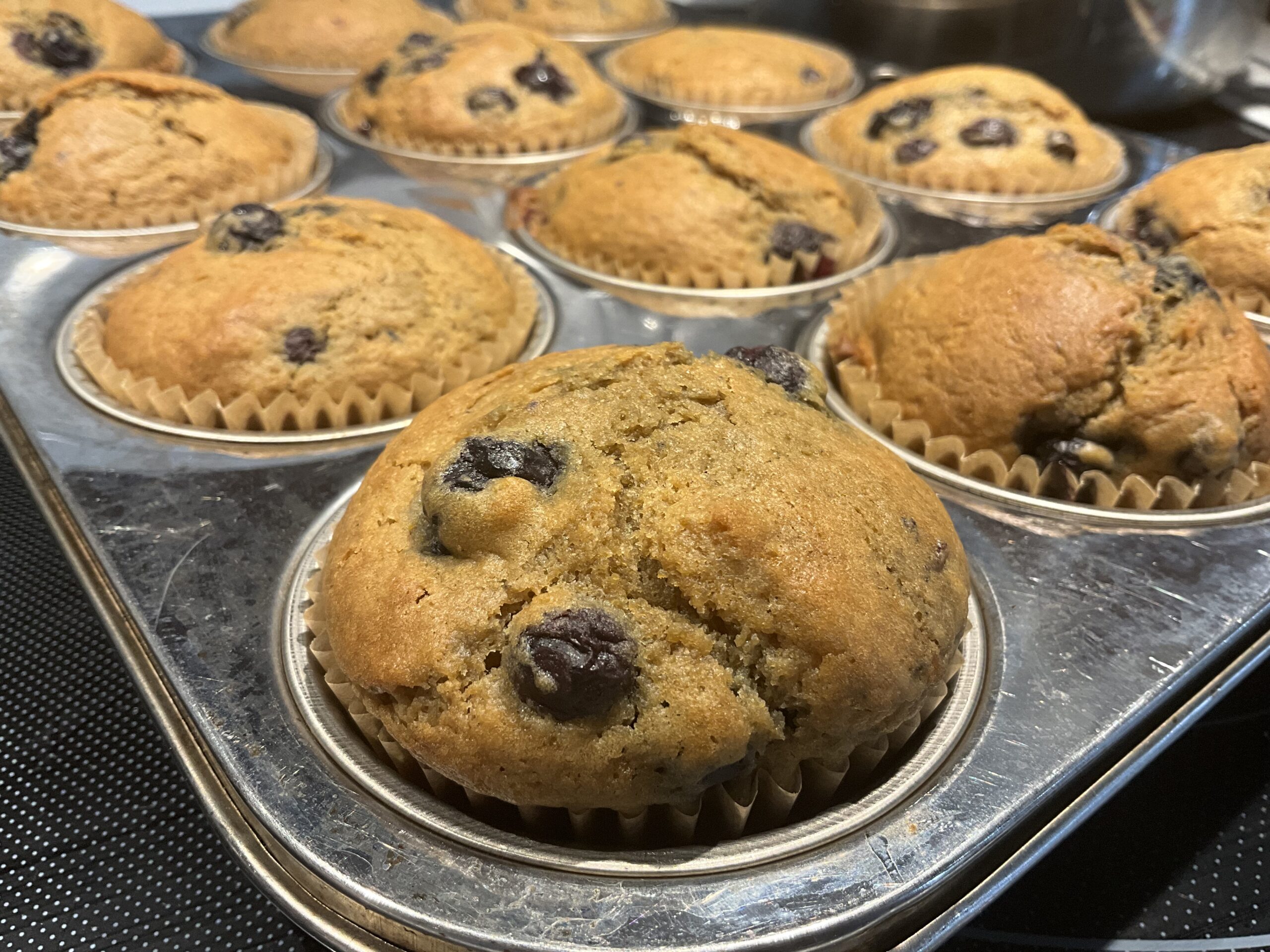 Sourdough Discard Blueberry Muffins