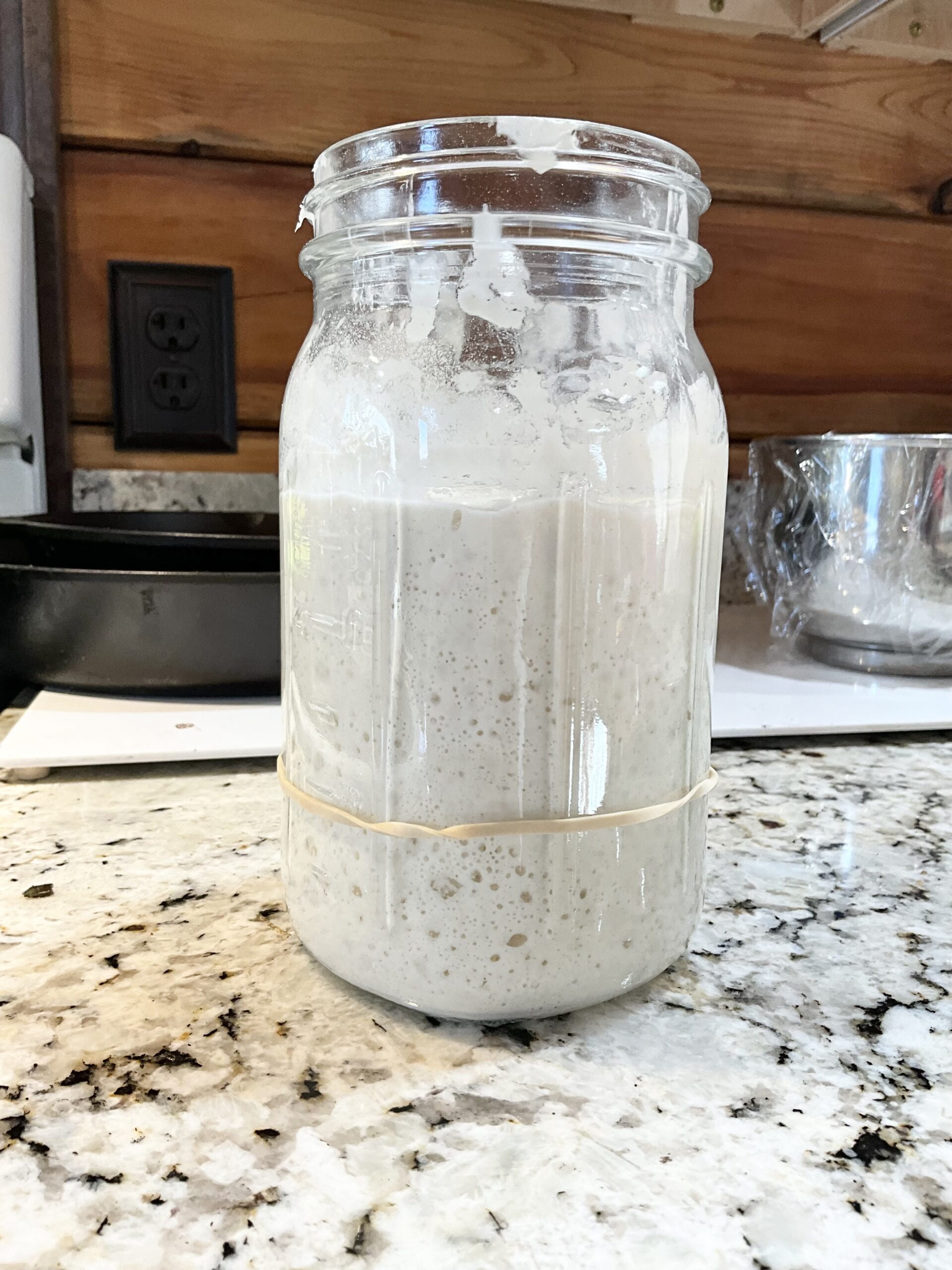 How to Activate Your Sourdough Starter